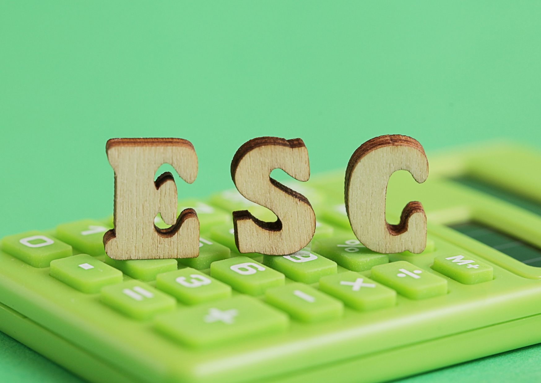 ESG and Marketing Strategies